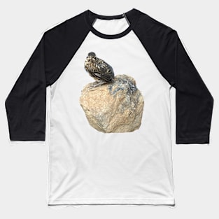 Fledgling on a Rock Baseball T-Shirt